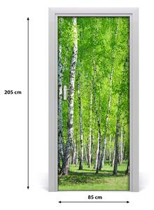 Fototapeta na dveře samolepící břízový les 85x205 cm