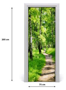 Fototapeta na dveře břízový les 75x205 cm