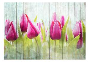 Fototapeta - Tulipány na bílém dřevě + zdarma lepidlo - 200x140