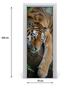 Samolepící fototapeta na dveře tygr na stromě 75x205 cm