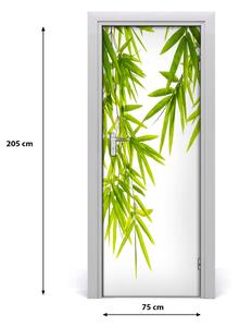 Fototapeta samolepící listy bambusu 75x205 cm