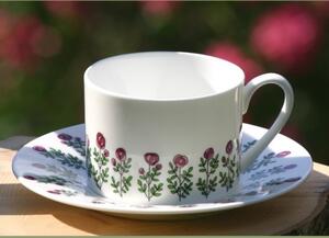 Porcelánový šálek s podšálkem Roses multi 200ml, Wiggles & Florence UK