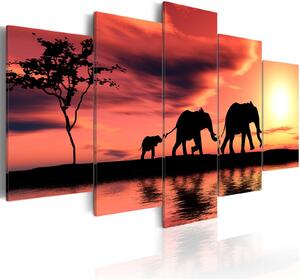 Obraz - Rodina afrických slonů 100x50
