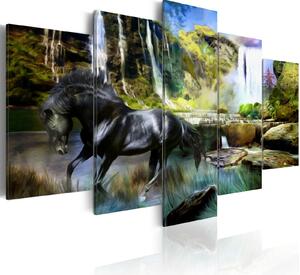 Obraz - Černý kůň na pozadí rajského vodopádu 100x50