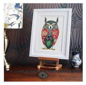 Reprodukce The DM Long eared Owl, The DM Collection UK