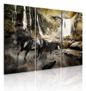 Obraz - Černý kůň a skalnatý vodopád 60x40