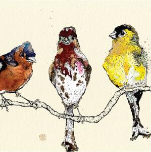 Autorský tisk AW Finches Birds, Anna Wright UK Autorský tisk ( bez rámu)