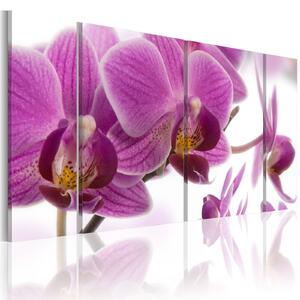 Obraz - Úžasná orchidej 60x30