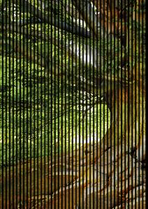 Neuhofer Designový akustický panel „Strom“ (Baum01) Vyberte požadovaný rozměr: NR. 4: 1693 x 2400 mm (3 panely)