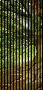 Neuhofer Designový akustický panel „Strom“ (Baum01) Vyberte požadovaný rozměr: NR. 3: 1133 x 2400 mm (2 panely)