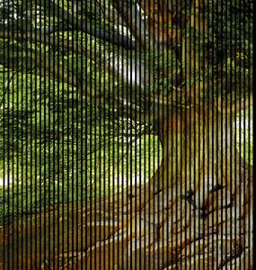 Neuhofer Designový akustický panel „Strom“ (Baum01) Vyberte požadovaný rozměr: NR. 5: 2253 x 2400 mm (4 panely)