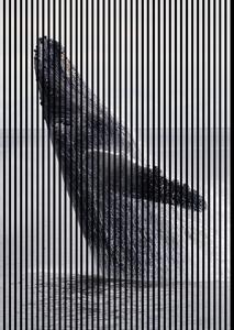 Neuhofer Designový akustický panel „Velryba“ (Wal02) Vyberte požadovaný rozměr: NR. 4: 1693 x 2400 mm (3 panely)
