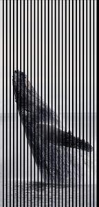 Neuhofer Designový akustický panel „Velryba“ (Wal02) Vyberte požadovaný rozměr: NR. 3: 1133 x 2400 mm (2 panely)