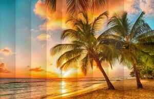 Fotožaluzie -- Západ slunce s palmami 100 x 100cm