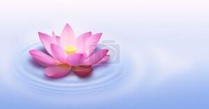 Fotožaluzie - - Zen květina 100 x 100cm