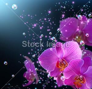 Fotožaluzie - orchidej fialová 1-8525304 100 x 100cm