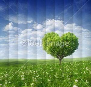 Fotožaluzie - strom srdce 1-30762445 100 x 100cm