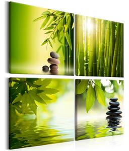 Obraz - Zen - Zelený klid 40x40