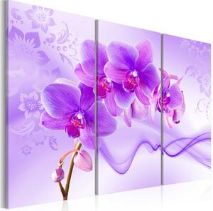 Obraz - Éterická orchidej - fialová 60x40