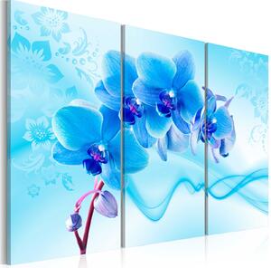 Obraz - Éterická orchidej - modrá 60x40