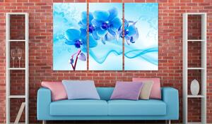 Obraz - Éterická orchidej - modrá 60x40