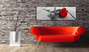 Obraz - Karmínová růže 120x40