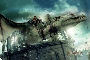 Plakát, Obraz - Harry Potter - Dragon ironbelly