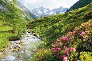 Plakát, Obraz - Alps - Nature and Mountains