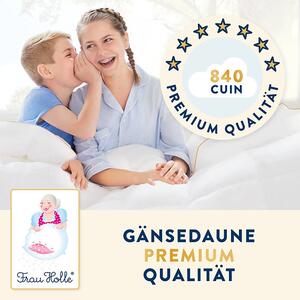 Dětská péřová přikrývka Frau Holle z prachového husího peří Rozměr: Baby Down: 80x80 cm (150 g)