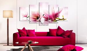 Obraz - Magnólie: růžové květy 100x50