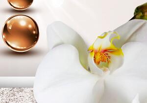 Obraz - Bílá abstraktní orchidej 100x50