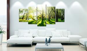 Obraz - Zelené stromy v krajině 100x50