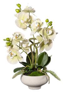 Orchidej zelená v misce, 50cm (Umělá květina)