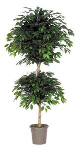 Umělý strom Fikus dvojitá koruna, 180cm