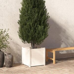 Zahradní truhlík bílý 50 x 50 x 50 cm masivní borovice