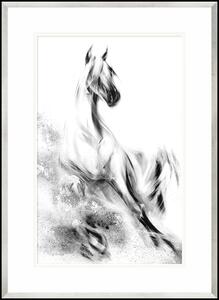 Obraz Arabský Kůň, Série Vídeň