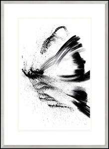 Obraz Motýl, Hmyzí Série