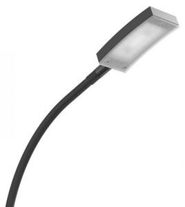 FRISCO T stolní černá 230V LED 4.2W 120° 3000K - RED - DESIGN RENDL