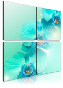 Obraz - Nebesky modré orchideje 40x40