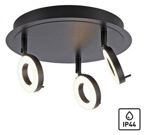 PN 6788-13 SILEDA LED stropní bodové svítidlo antracit, kruhové, 3 ramenné, otočné, ochrana proti vodě 3000K - PAUL NEUHAUS