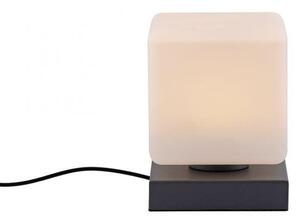 Paul Neuhaus Stolní LED lampa DADOA, 7W, 12x12 cm, 3000K stmívatelná, dotykový stmívač Barva: Stříbrná