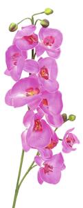 Orchidej větvička, fialová, 100cm