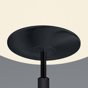 LED stojací lampa Findus, 2 zdroje, černá