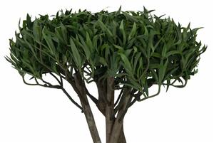 Bonsai s krouceným kmenem, 130cm (Umělý bonsai)