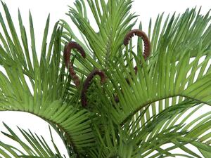 Umělá Cycas palma, 50cm