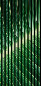 Neuhofer Designový akustický panel „Palmový list“ (Blatt01) Vyberte požadovaný rozměr: NR. 3: 1133 x 2400 mm (2 panely)