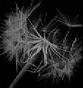 Designový akustický panel „Pampeliška“ (Pusteblume01) Vyberte požadovaný rozměr: NR. 5: 2253 x 2400 mm (4 panely)