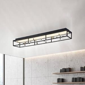 Paul Neuhaus LED stropní svítidlo SKINA, černé, 112 cm, stmívatelné, s dálkovým, stmívatelný, Černá, Obývací pokoj / jídelna, kov, Moderní