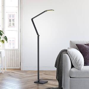 Paul Neuhaus LED stojací lampa SAMSKY, šedá, výška 161 cm, kov, dotykový stmívač, stmívatelný, Hliník / šedá / zinek, Obývací pokoj / jídelna, Hliník, Moderní