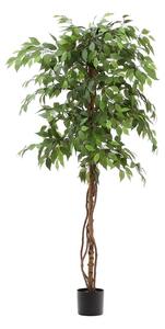 Umělý fíkus (výška 180 cm) Ficus – Kave Home